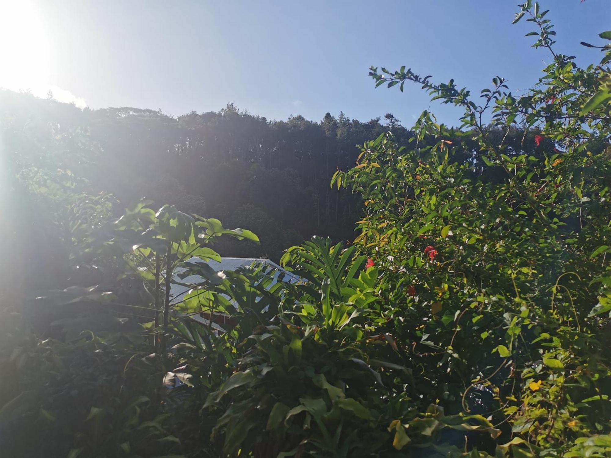 Appartamento Fare Kairos Uturoa Esterno foto