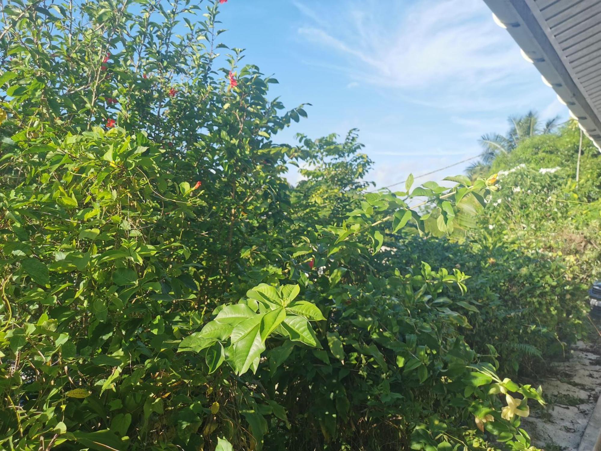 Appartamento Fare Kairos Uturoa Esterno foto